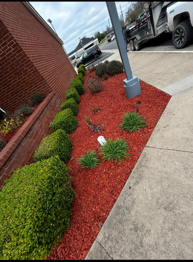 Landscaping / Feature Design